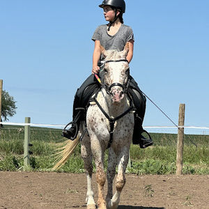 Meet your Posher, Kira